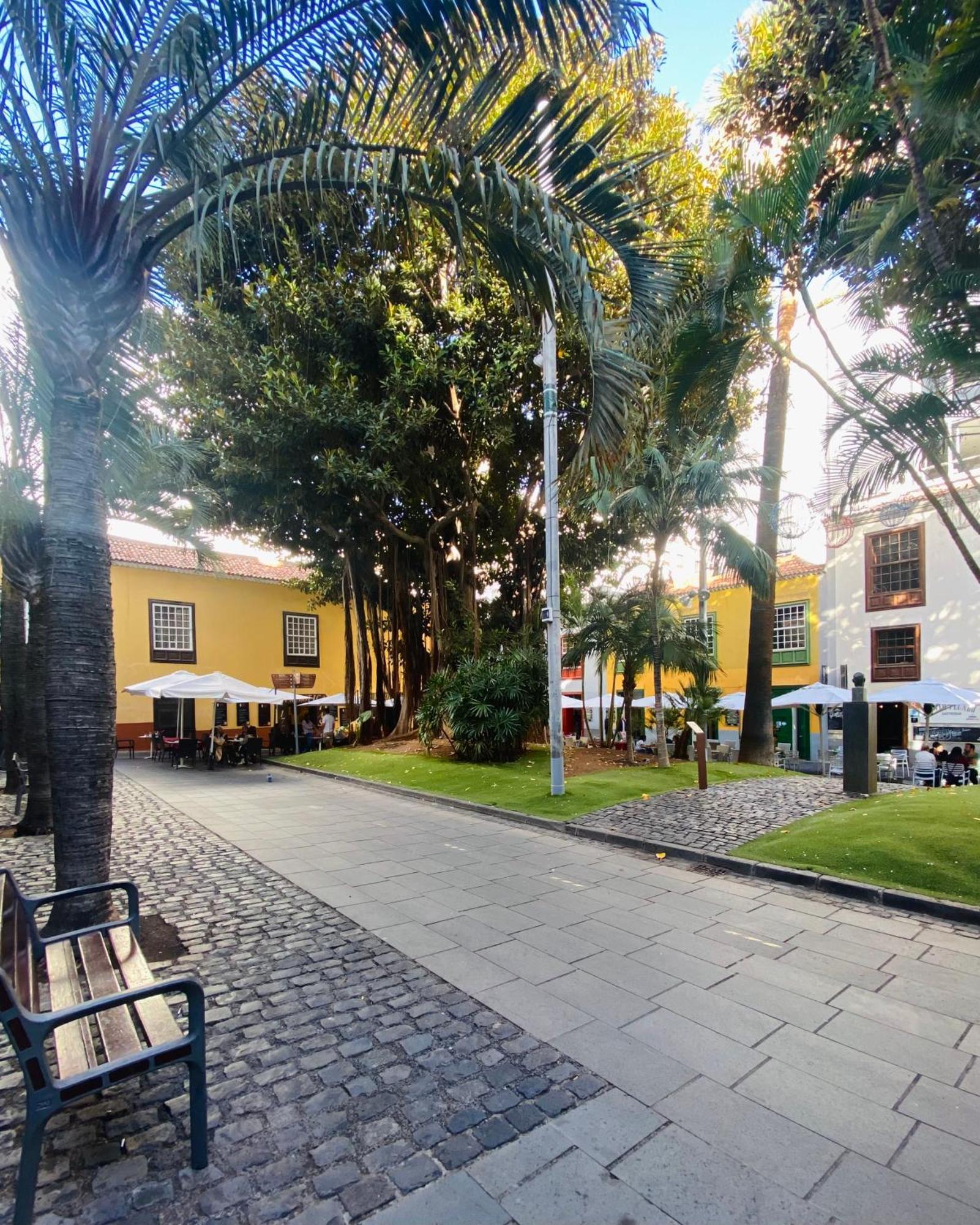 Macaronesia Home Santa Cruz de Tenerife Zewnętrze zdjęcie
